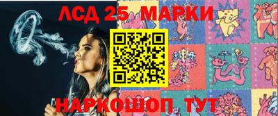 гашик Жуковский