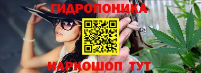 гашик Жуковский