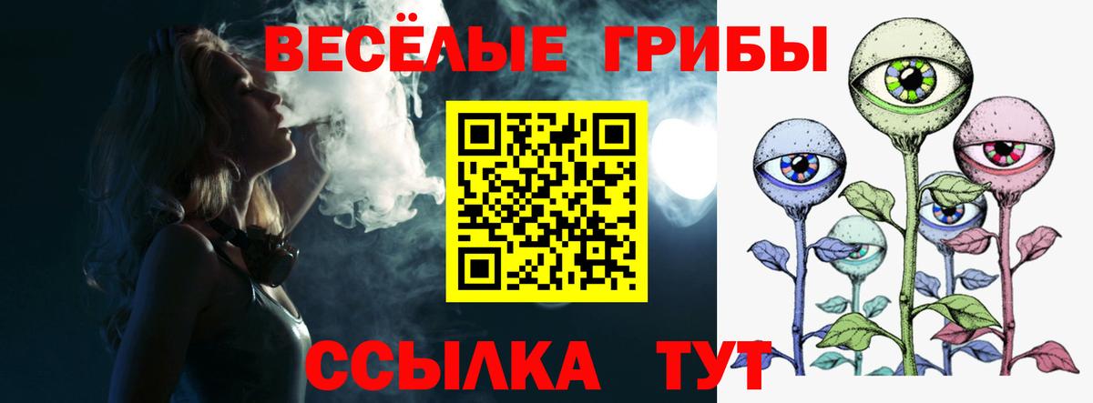 Галлюциногенные грибы MAGIC MUSHROOMS  Галлюциногенные грибы Psilocybine cubensis  Карталы  Вход с VPN 
